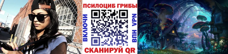 Псилоцибиновые грибы мухоморы  продажа наркотиков  Гурьевск 